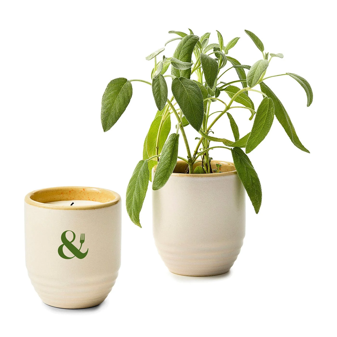Modern Sprout - Garden Vibes Candle/Planter