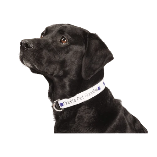 Adjustable Pet Collar