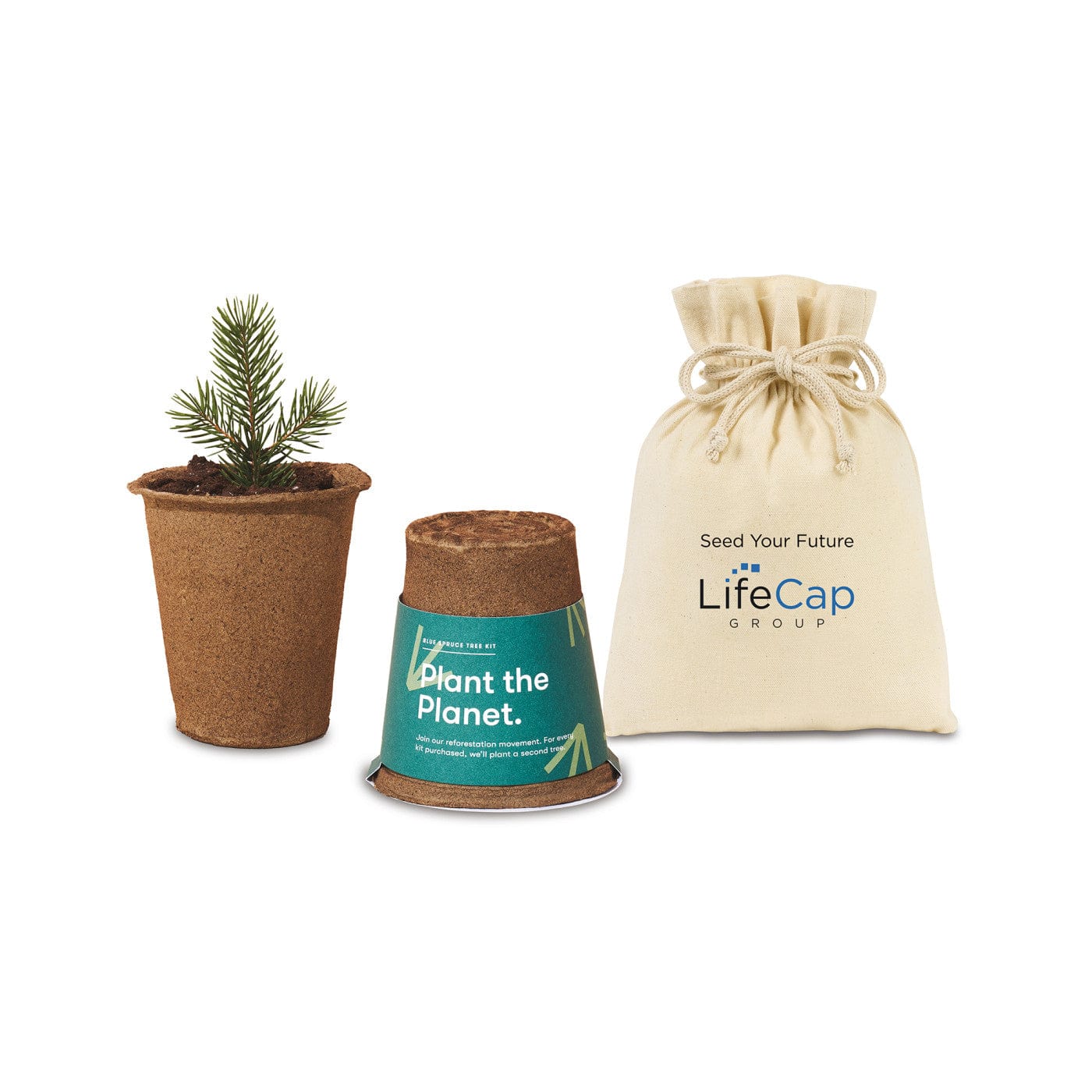 Modern Sprout - One For One Tree Kit