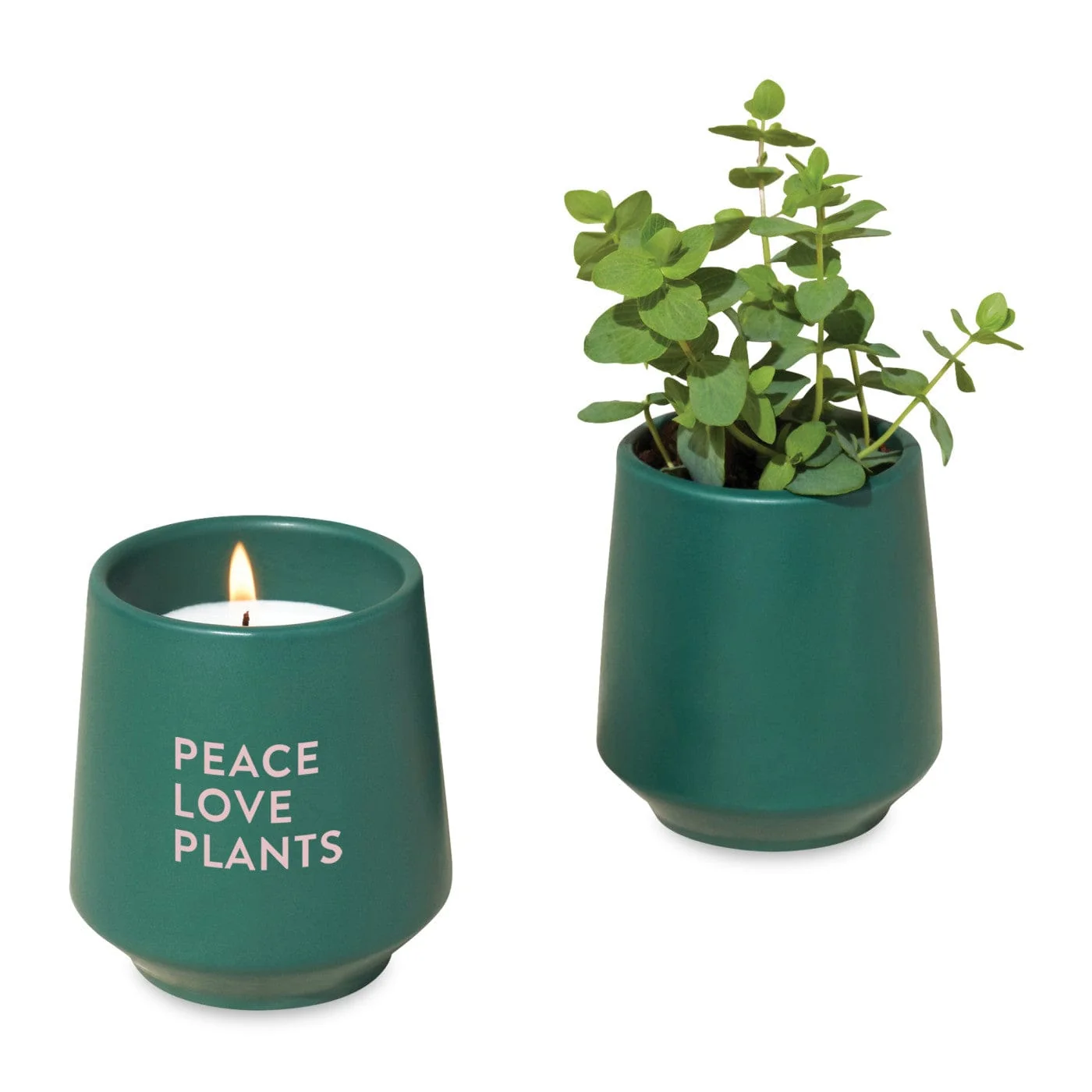 Modern Sprout - Rooted Candle